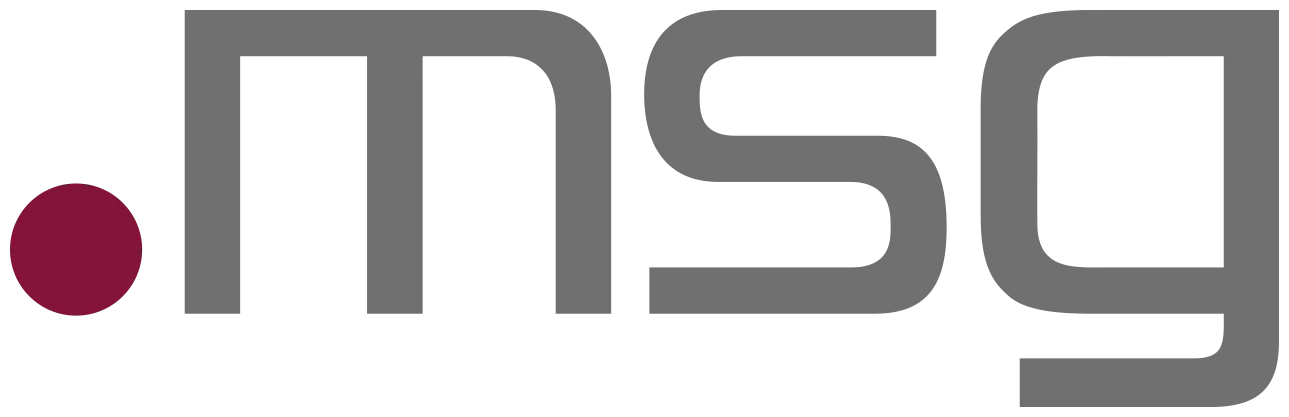 msg Logo